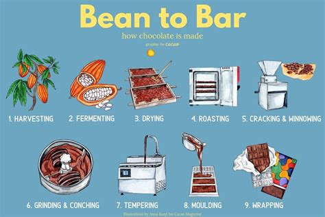 How Chocolate Is Made