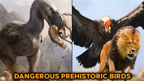 20 Deadliest Prehistoric Birds You Never Knew Existed